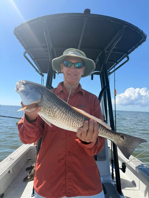 Inshore Fishing Trip