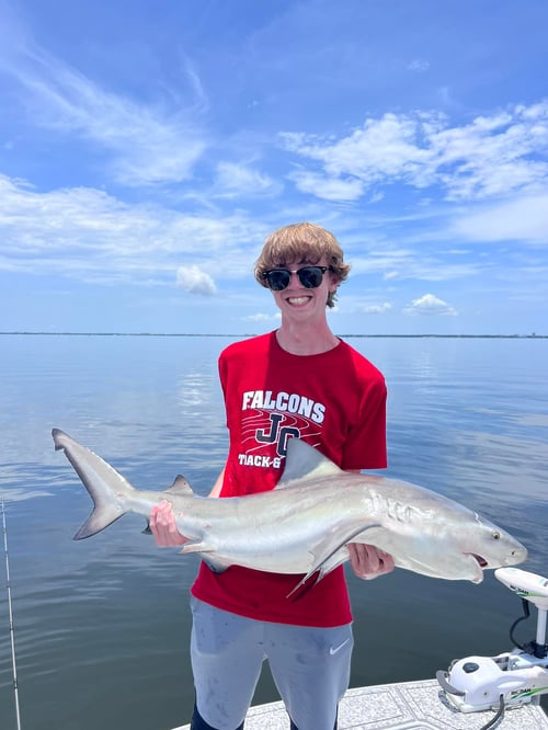 Shark Fishing Charter