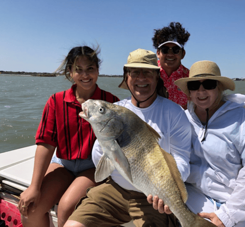 Black Drum Fishing in Corpus Christi, Texas