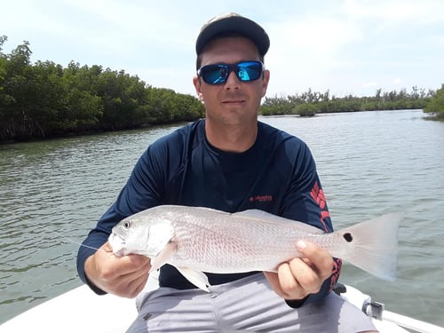4 Hour Trip Morning – Inshore