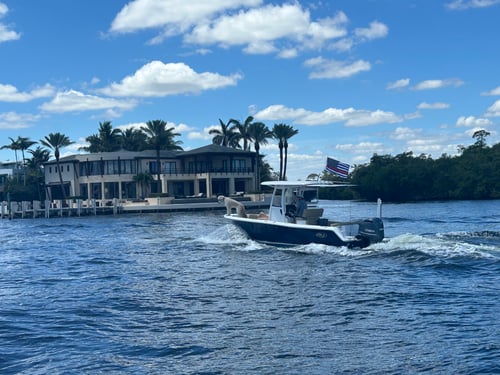 Sandbar and Swim with Floating Mat