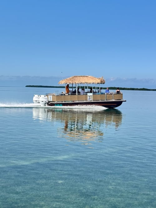 Tiki Boat Tours