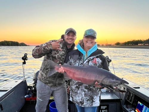 8 Hour Trip – Summer Sockeye