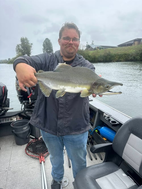 8 Hour Trip – Fall Kings