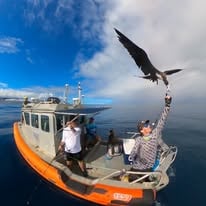 Whale Watching Tours 