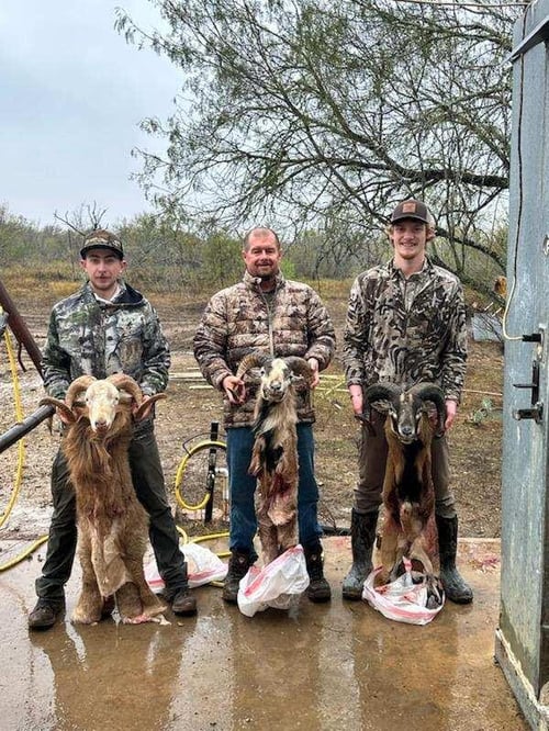 Big Game Exotics