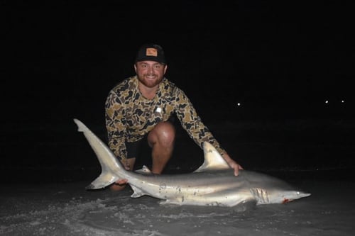 Evening Surf Shark Fishing!
