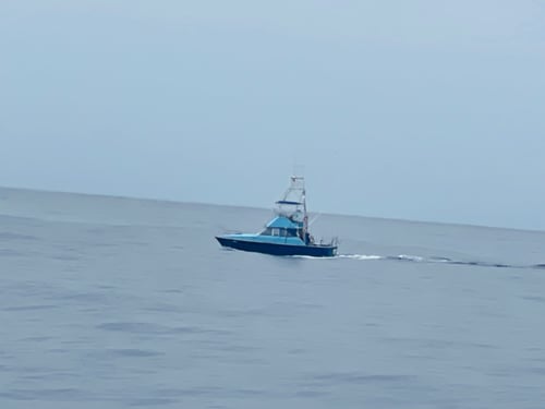 35 Foot Bertram