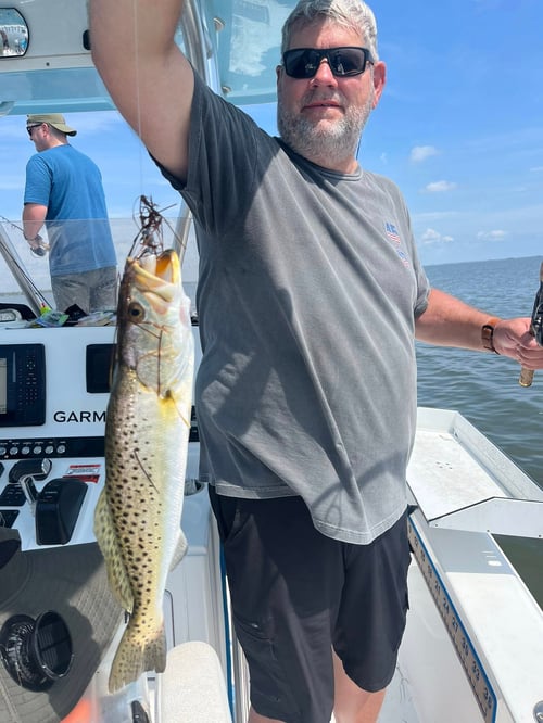 Inshore Fishing Trip