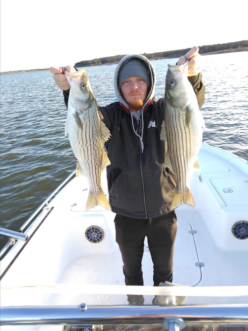Winter Lure Big Fish Special