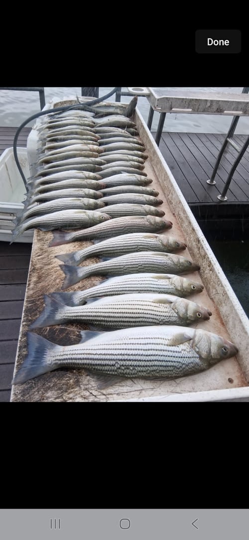 Weekend Trip On Lake Texoma 