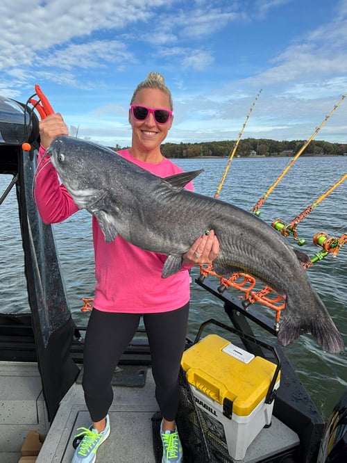 Lake Wylie Fishing Trips