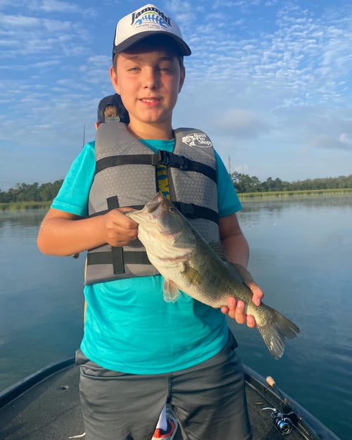 Lake Fishing - Austin, LBJ and Trav