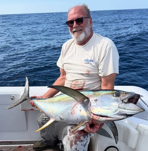 4-8 hour Offshore Fishing