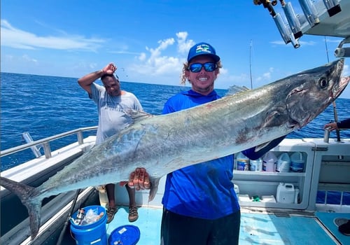 4-8 hour Offshore Fishing