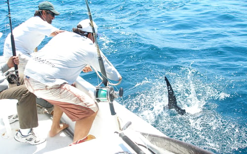 BIG GAME FISHING IN MAZATLAN, MEX