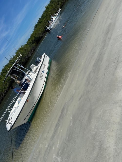 Inshore, bridge and inlet 