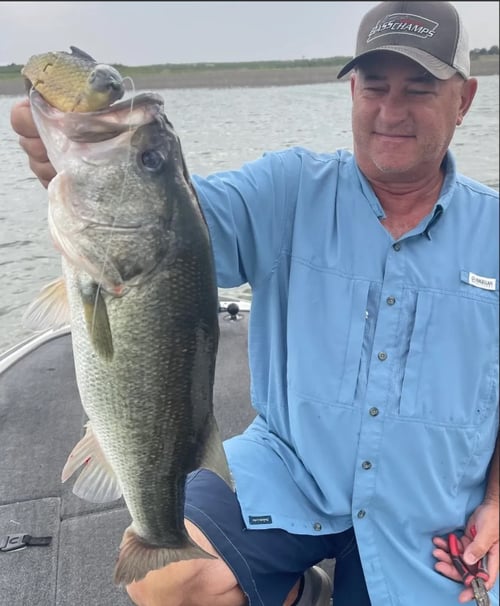 5-8 Hour Bass Fishing Trip