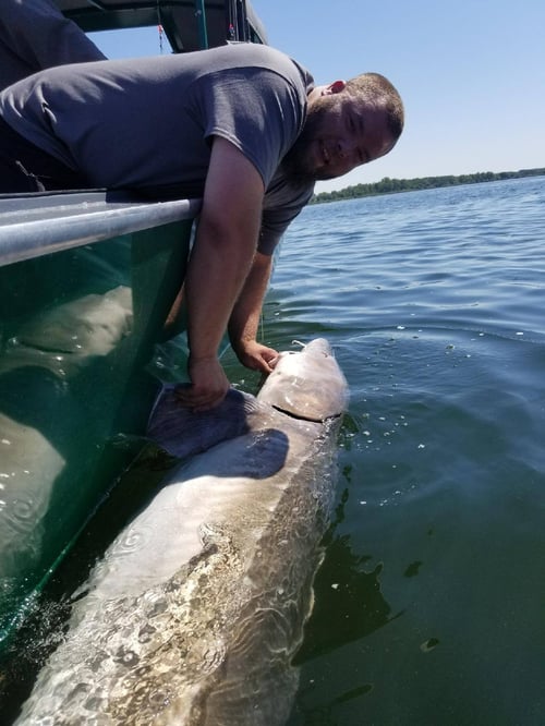 Sturgeon Fishing