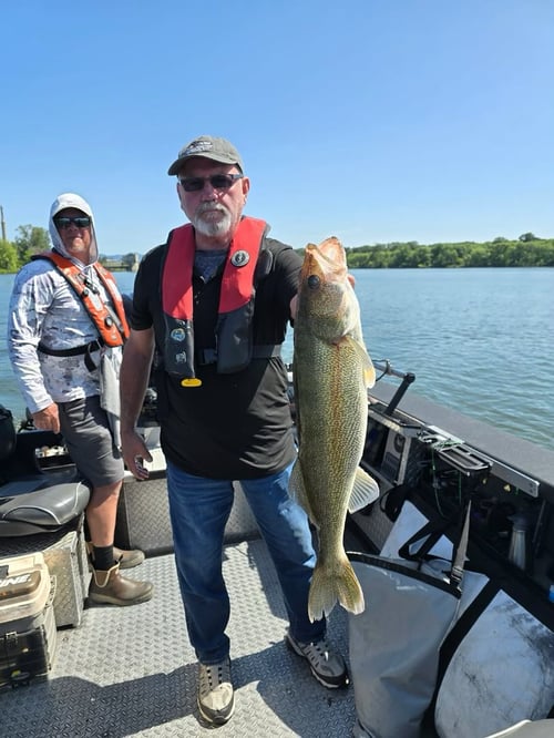 Walleye Fishing