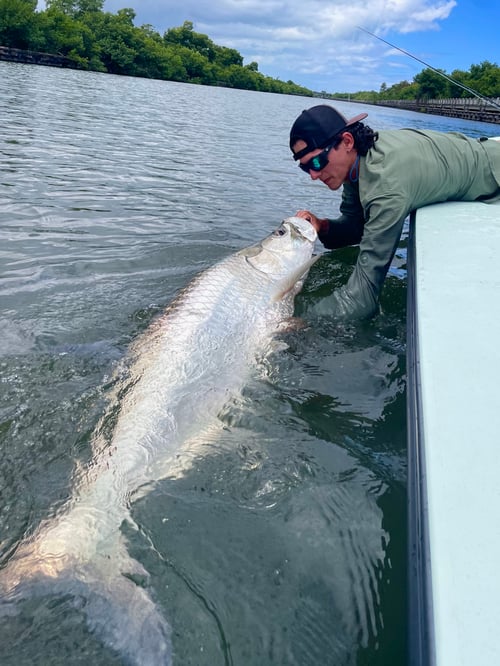 Fly fish lagoons and backwaters 