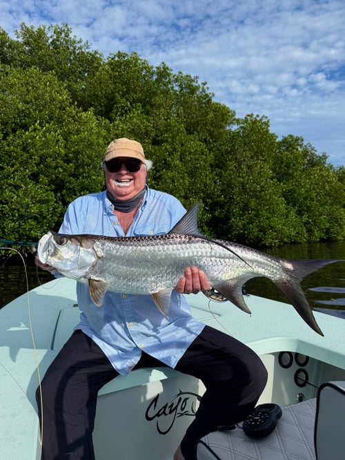 Fly fish lagoons and backwaters 