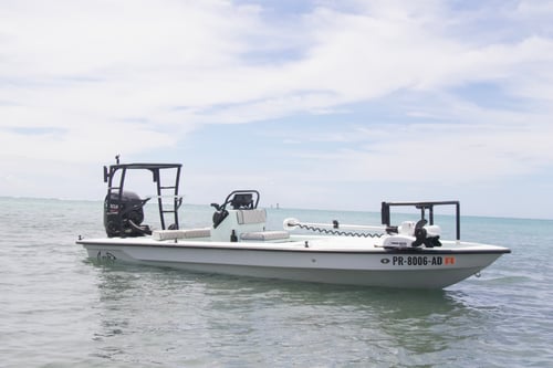Fly fish lagoons and backwaters 