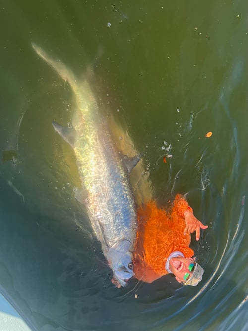 Fly fish lagoons and backwaters 