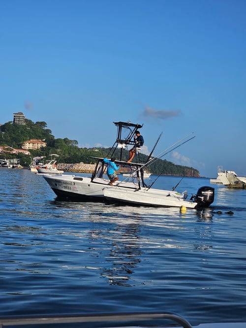 Solo Good SportFishing 