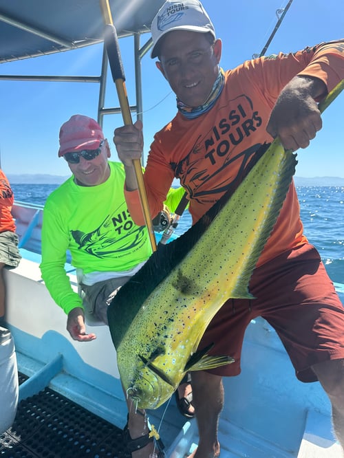 Sport fishing 🎣 
