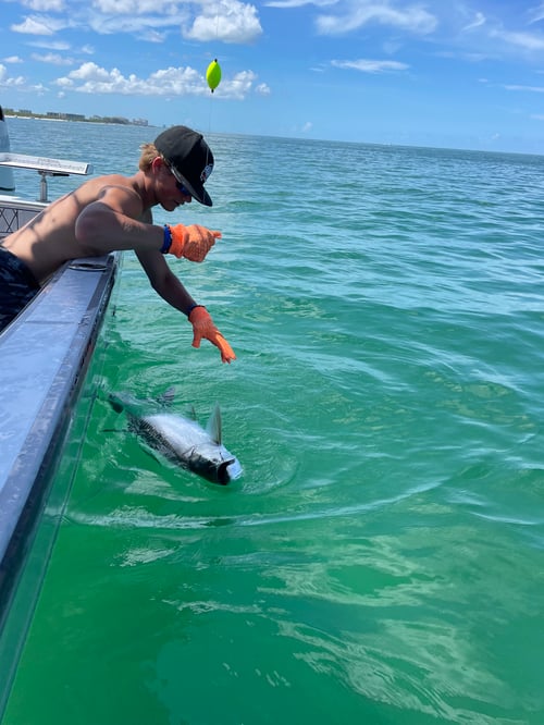 Tarpon Trip Naples to Sanibel