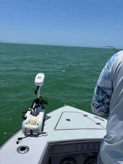 Tarpon Trip Naples to Sanibel