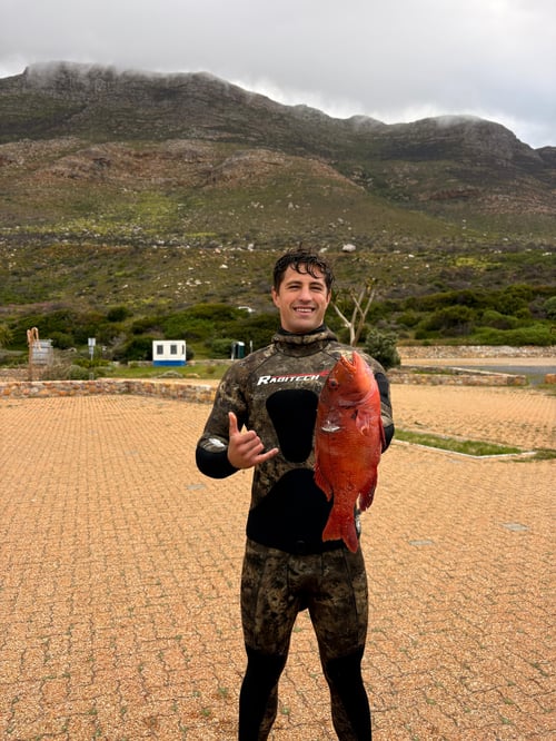 Shore Dive Spearfishing Trip