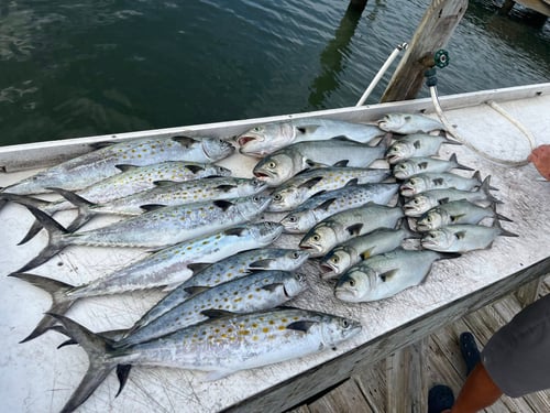 Nearshore Fishing Trip