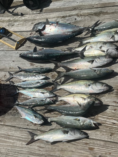 Nearshore Fishing Trip