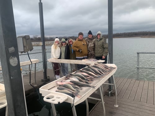 4Hr. Afternoon Striper Fishing Trip