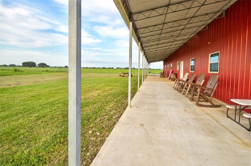 Hog Hunt Close To Houston