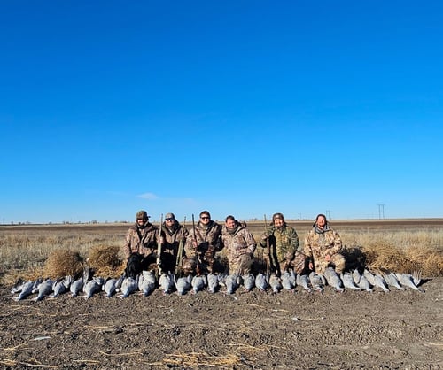 West Texas Crane Hunt