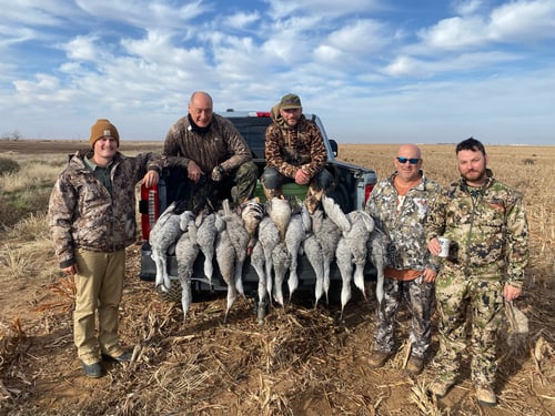 West Texas Crane Hunt