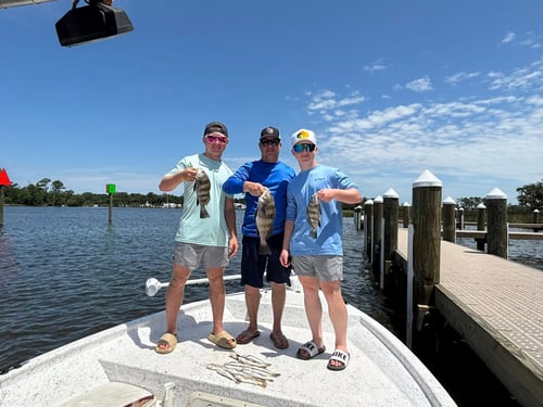 3-5 Hour Inshore/Nearshore