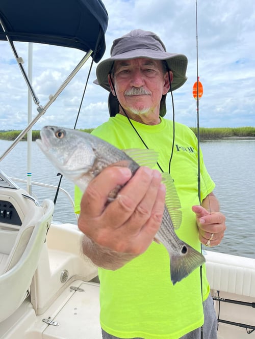 Inshore Fishing Trip