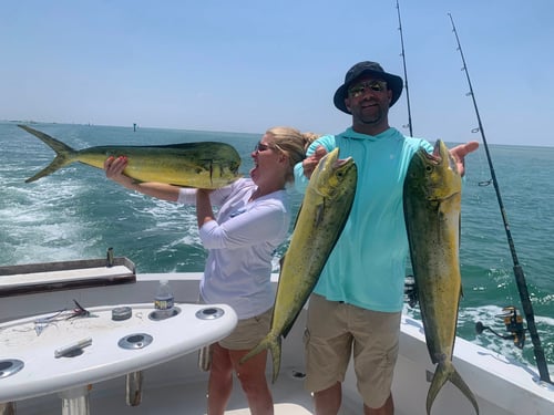 4-8 Hours Offshore Trip