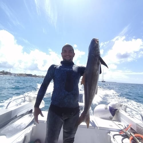 Spearfishing Trip