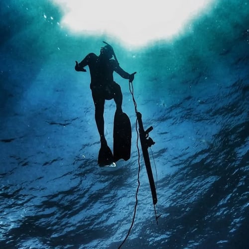 Spearfishing Playa Del Carmen
