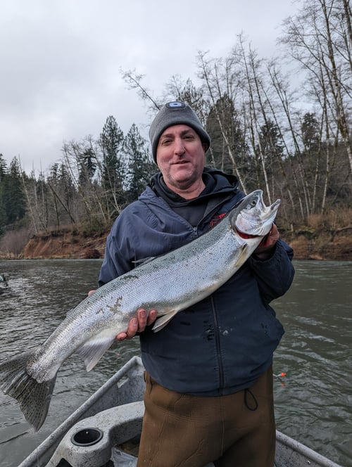 Steelhead Fishing Trip