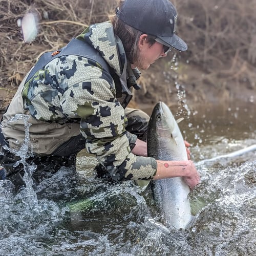 Steelhead Fishing Trip