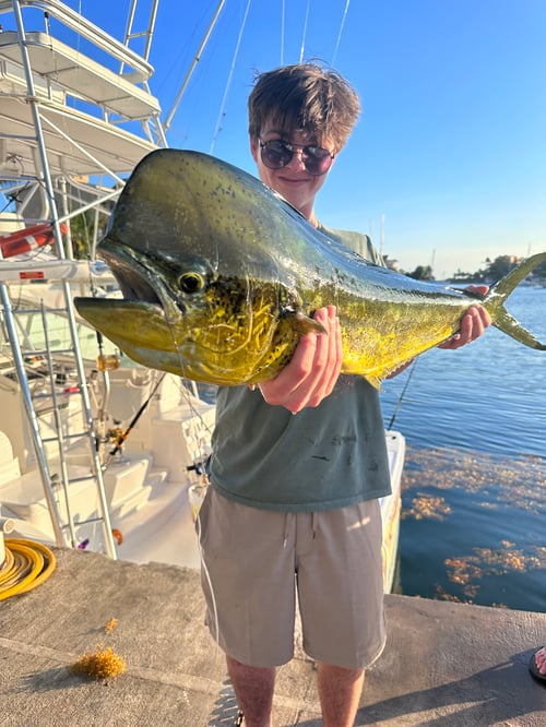 Fishing Charter, Puerto Aventuras