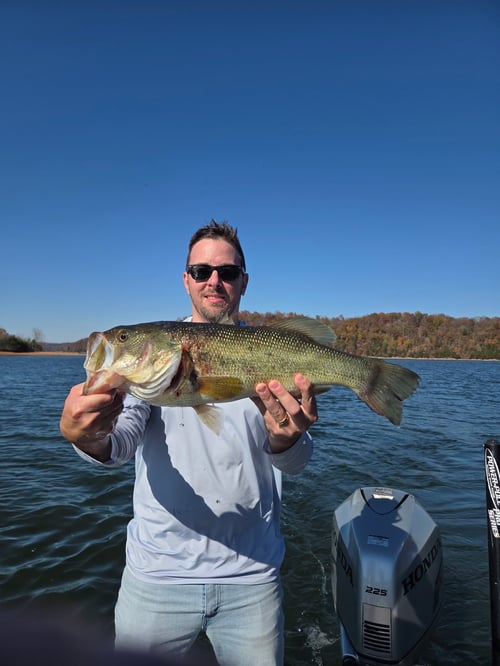 Normandy Lake Bass Fishing