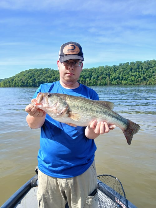 Normandy Lake Bass Fishing