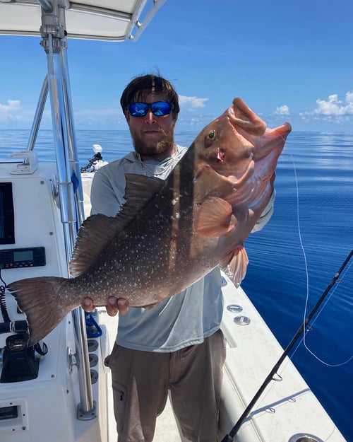 Offshore Fishing Trip